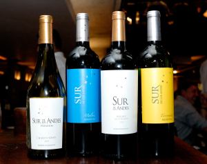 MS-Import-vinhos-Sur-de-Los-Andes